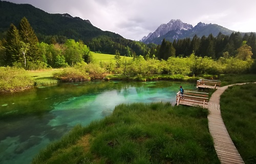 Zelenci